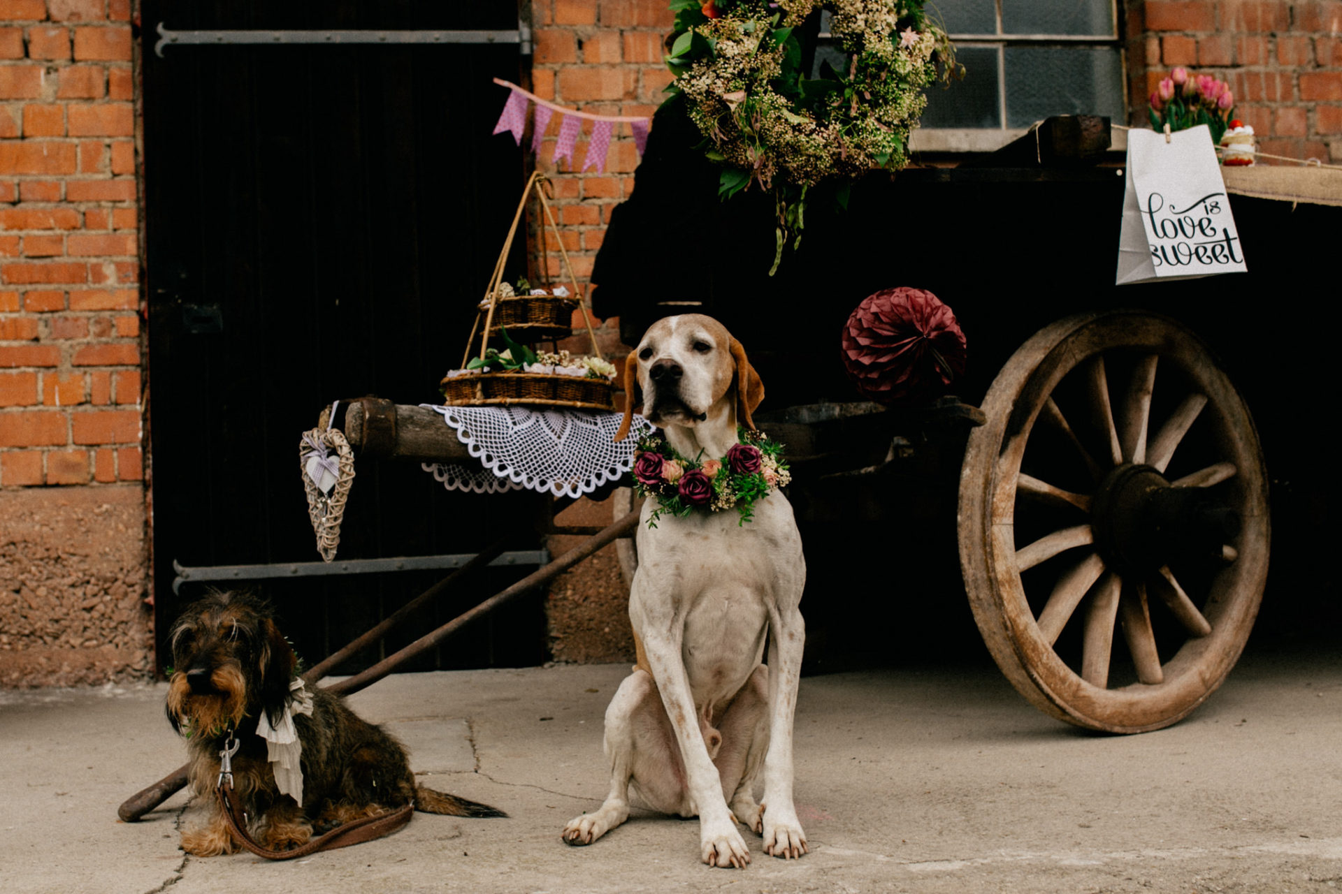 wedding with dogs-barn wedding germany-rustic event farmhouse stuttgart-wedding photographer stuttgart