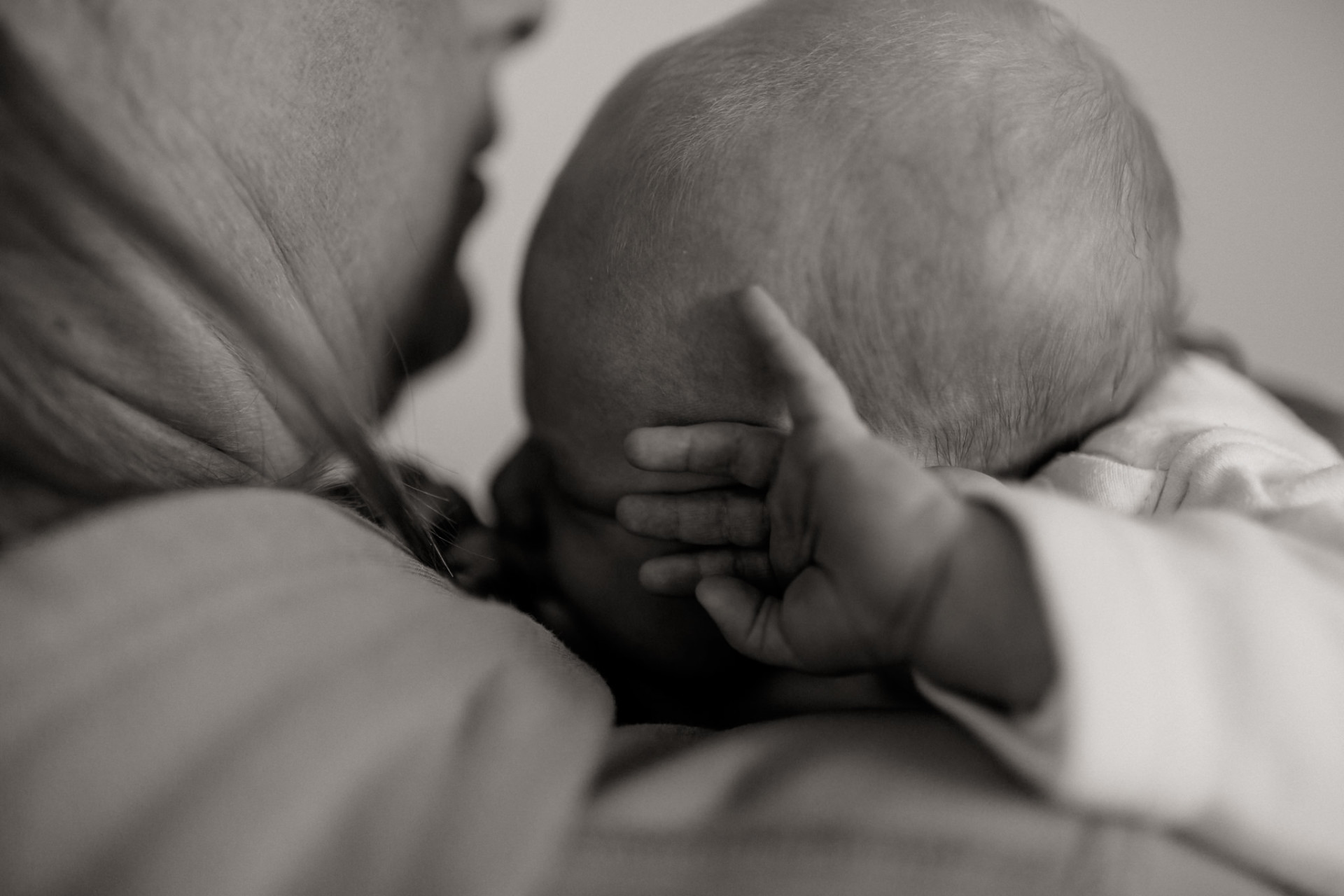 family portrait-newborn photography stuttgart