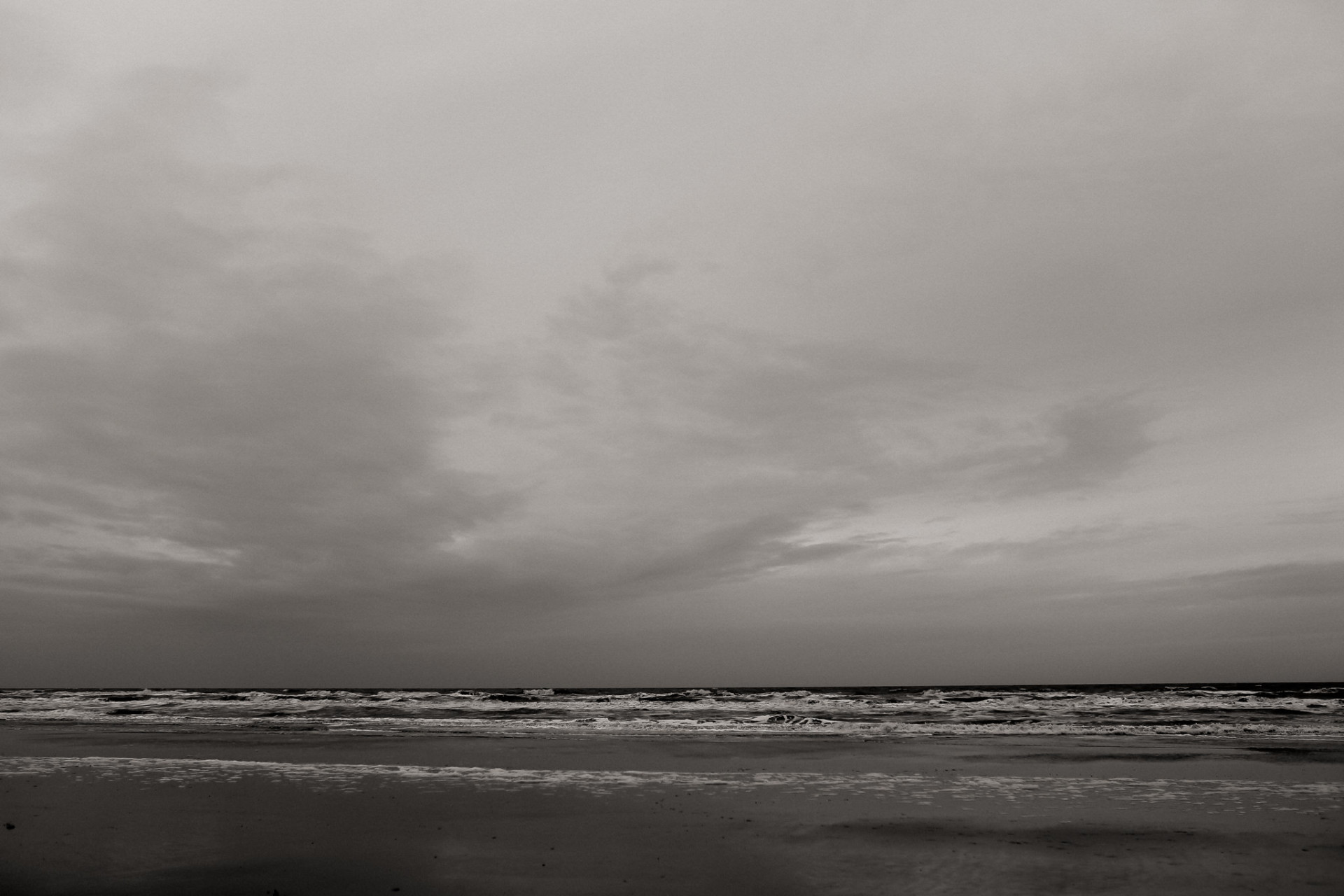 dog photographer spo-beach motel photographer-dog photos beach