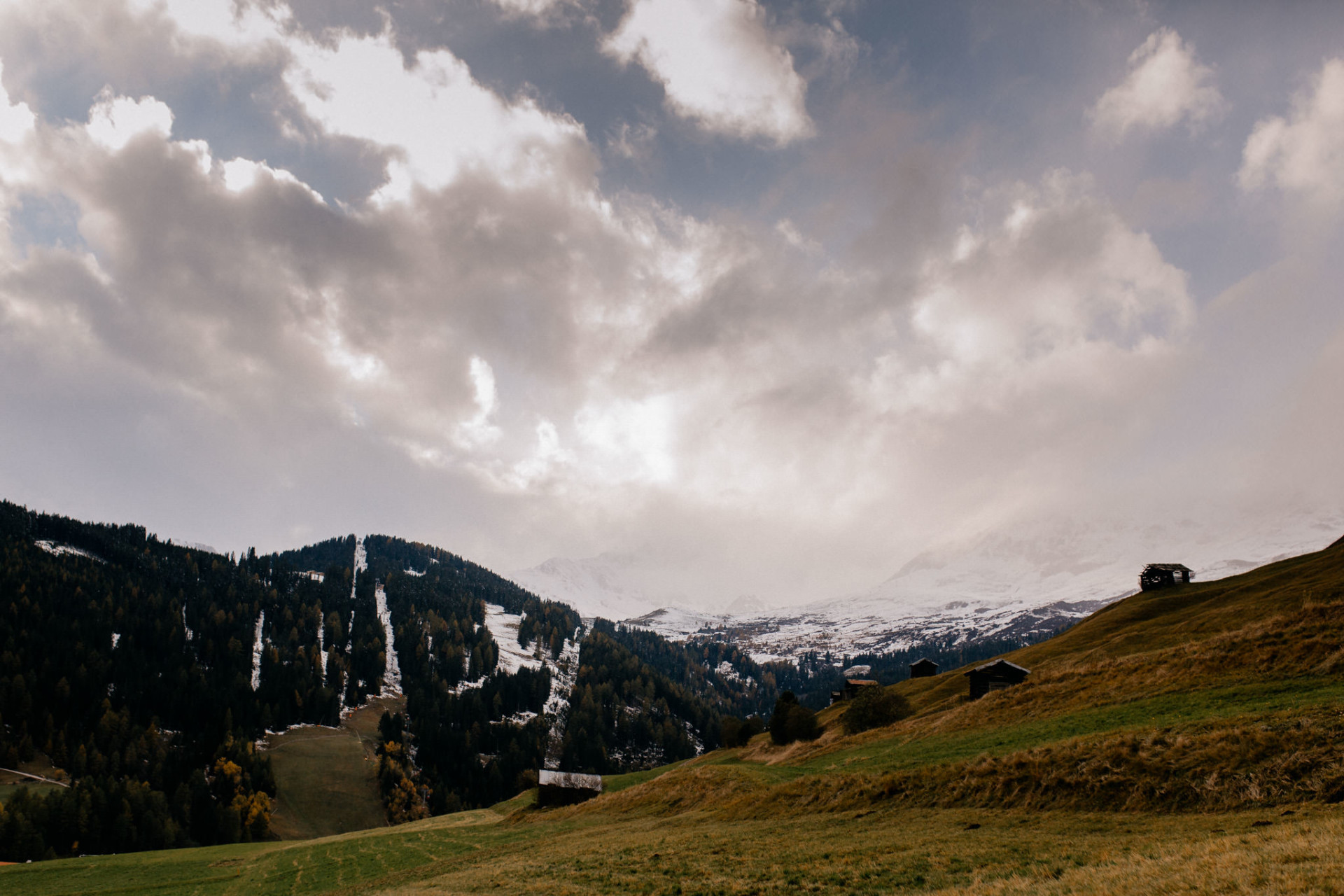 engagement photos with dog-wedding photographer austria-engagement photos austria