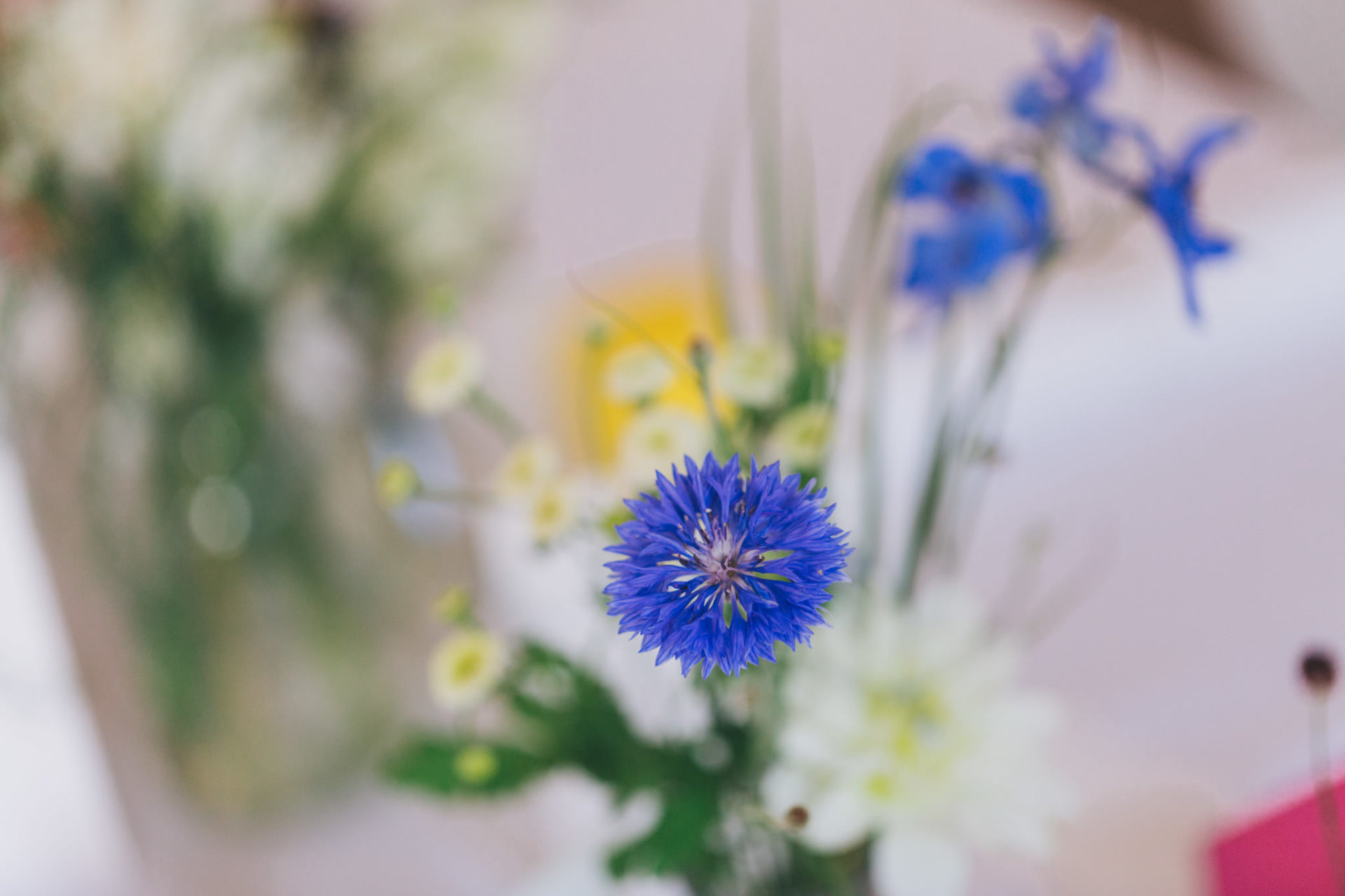 Wedding photographer berlin-berlin destination wedding-farm wedding germany-countryside wedding europe-32