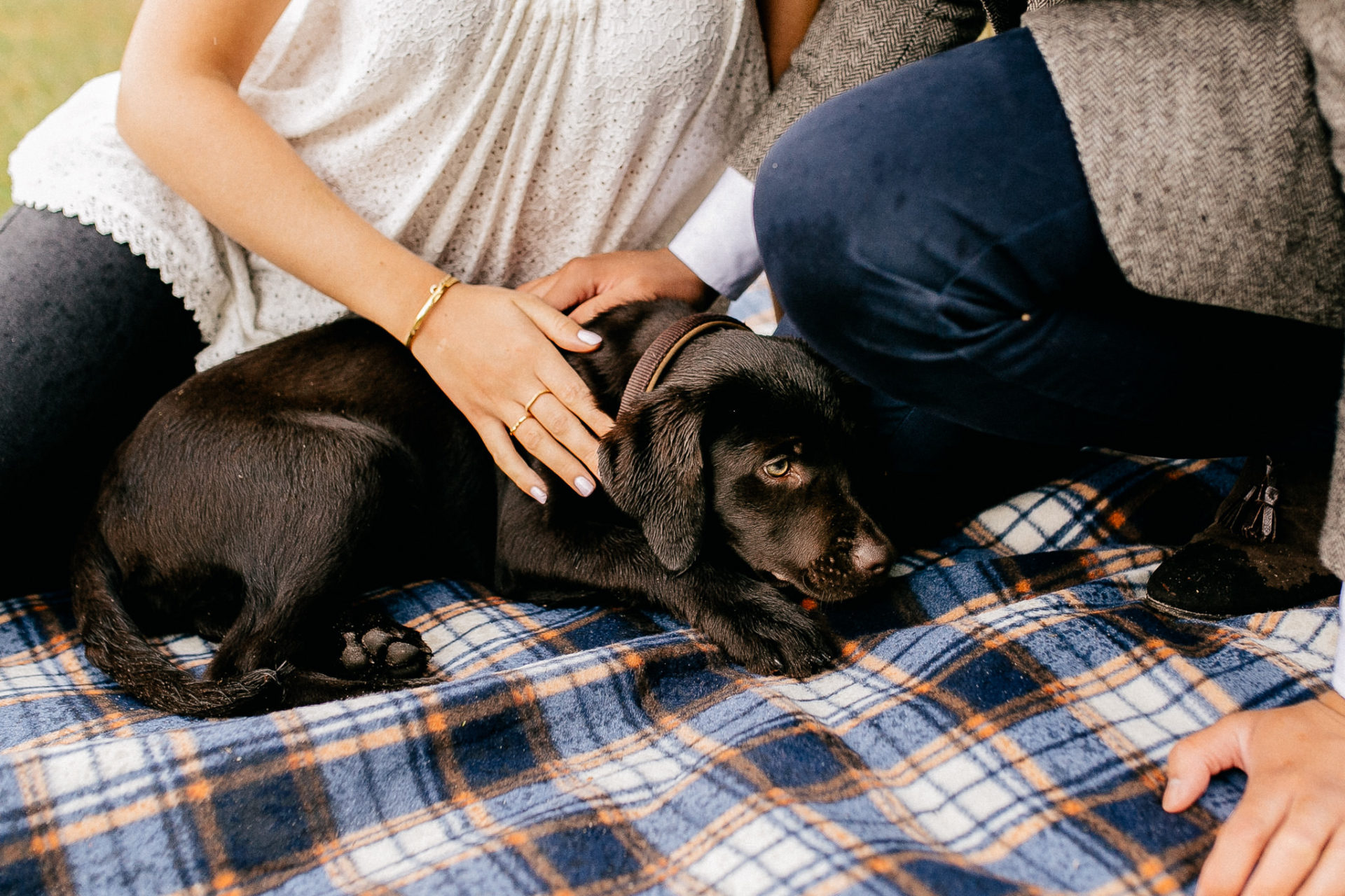couple shoot Hamburg-engagement photos with dog-labrador puppy-brown lab pup