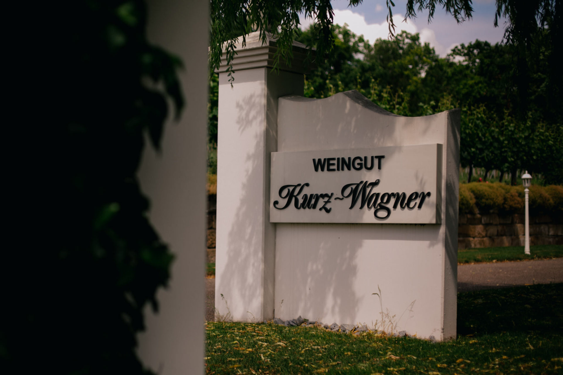 vineyard barn wedding south germany-22 wedding vineyard kurz Wagner-winery wedding germany