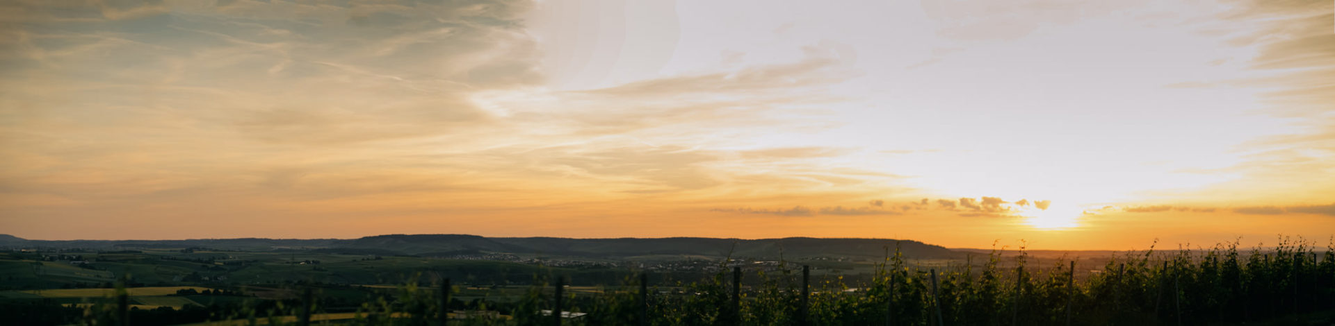 vineyard barn wedding south germany-37 Weingut kurz Wagner wedding-vineyard stuttgart Heilbronn-winery Germany