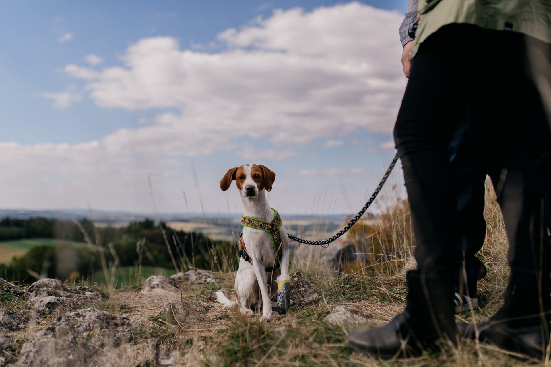 engagement photos with puppy-wedding photographer stuttgart
