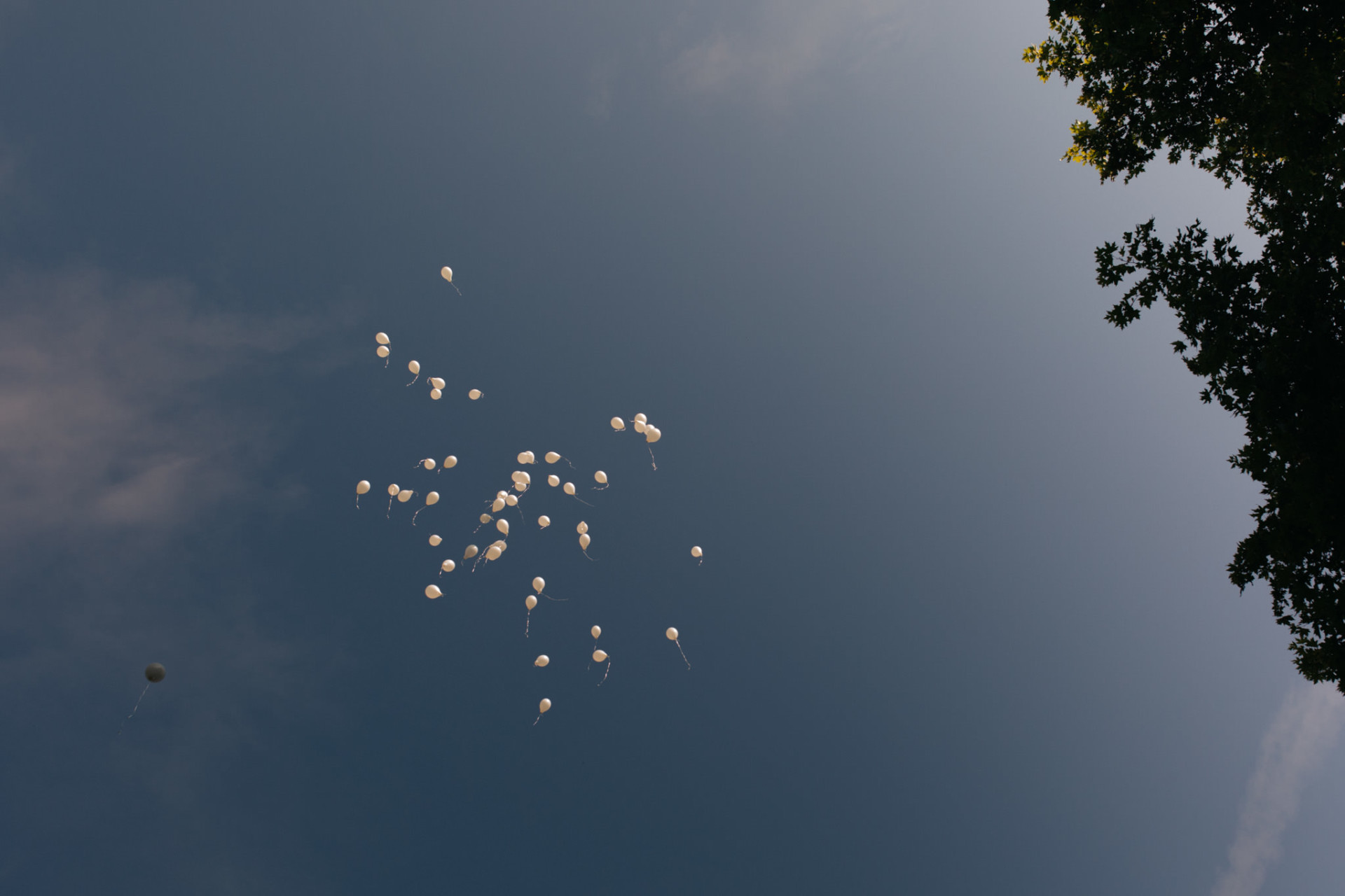 balloons wedding-wedding photographer ludwigsburg