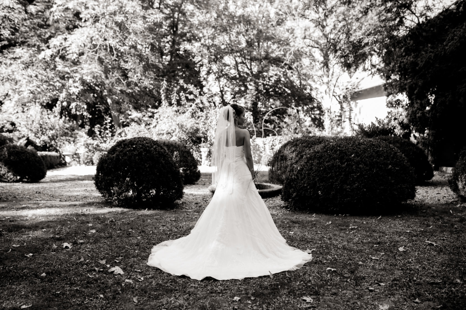 bridal gown vineyard wedding-wedding photographer stuttgart-steinheim murr wedding