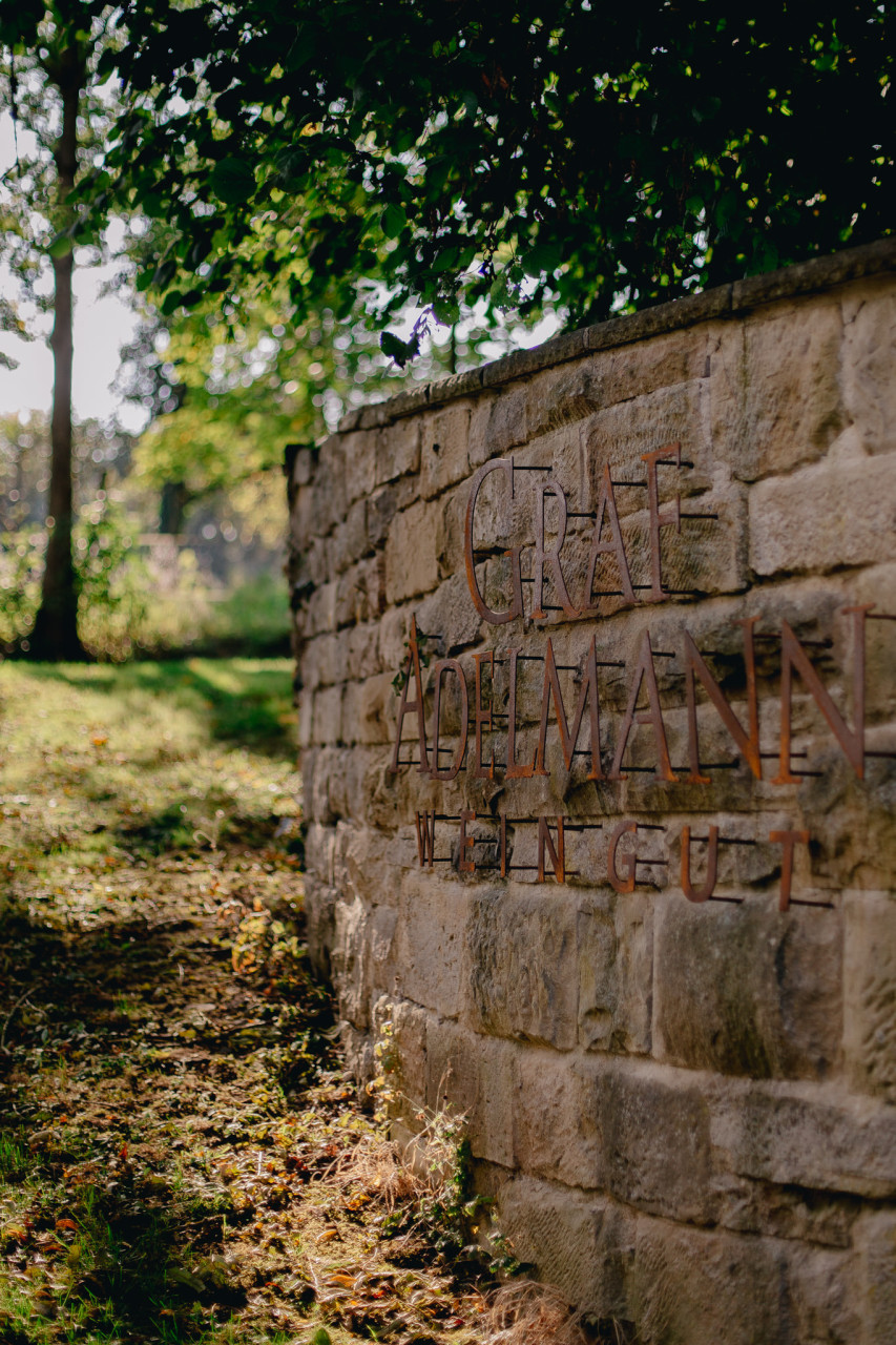 vineyard wedding southern germany-russian wedding-graf adelmann wedding