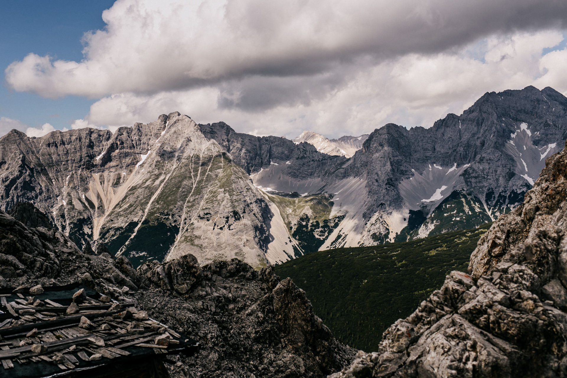 wedding photographer austria-engagement photos in alps-12 landscape photo austrian alps-mountain flowers high-alpine