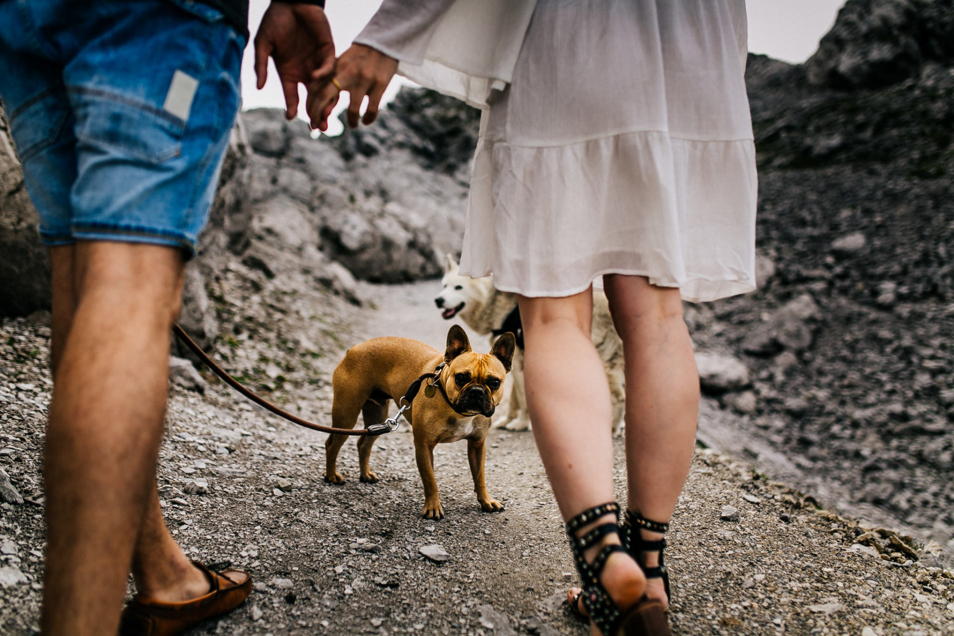 wedding photographer austria-engagement photos in alps-2 mountain elopement with dog-wedding photographer austria-innsbruck engagement