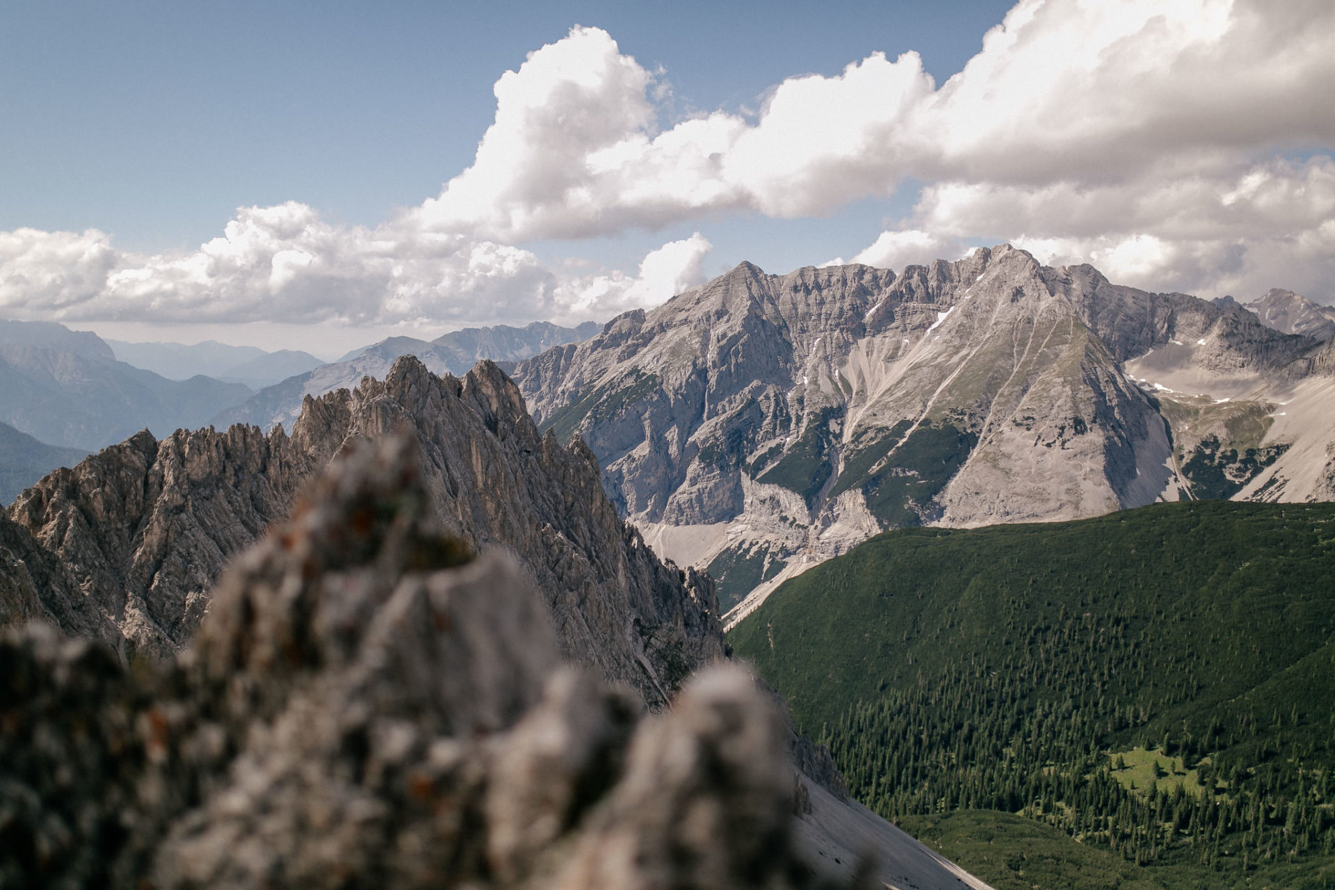 wedding photographer austria-engagement photos in alps-35 landscape photo austrian alps-mountain flowers high-alpine