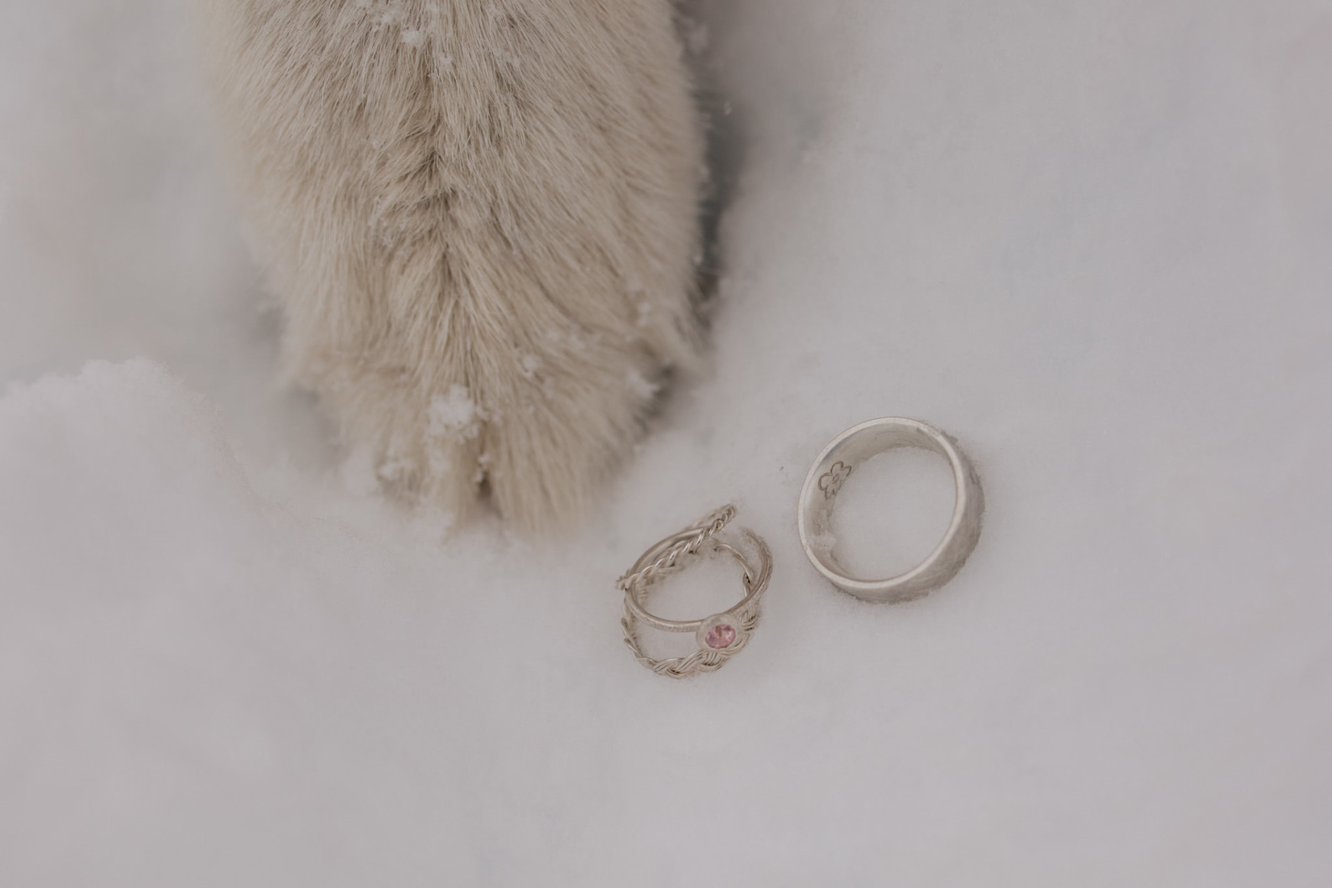 dog of honour-ring bearer dog-puppy paw-bespoke jewellery Michaela Roemer-wedding band