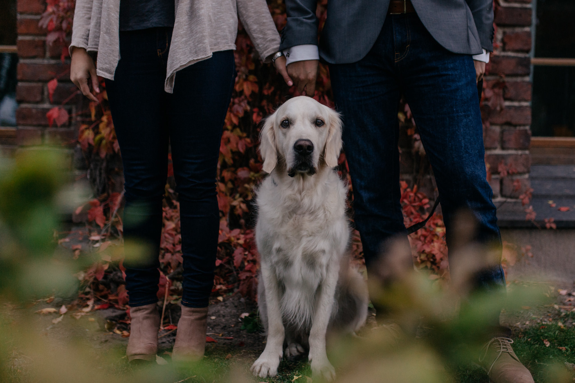 wedding photographer stockholm-engagement photos with dog-sweden elopement