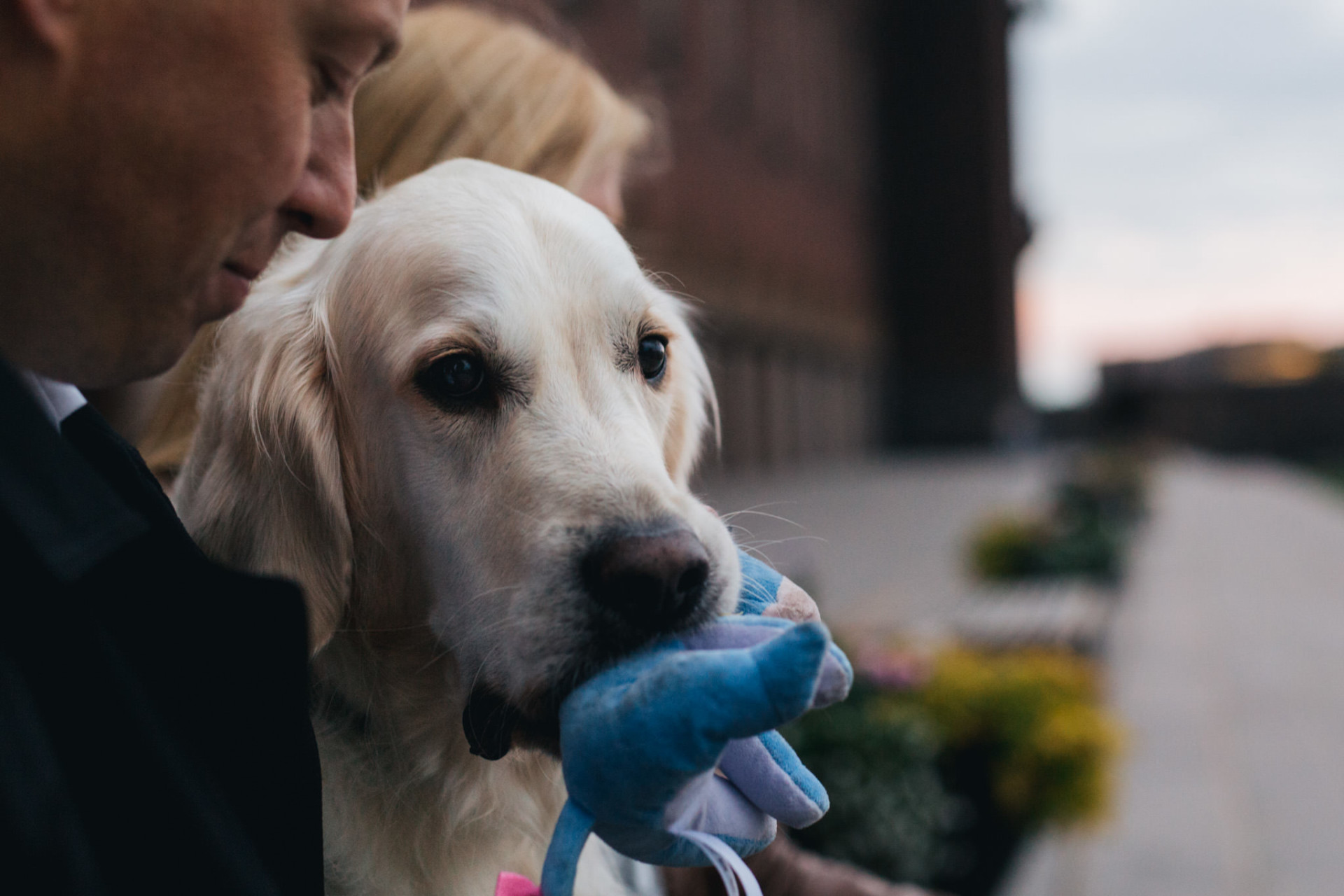 wedding photographer stockholm-stockholm stadthuset-sweden elopement