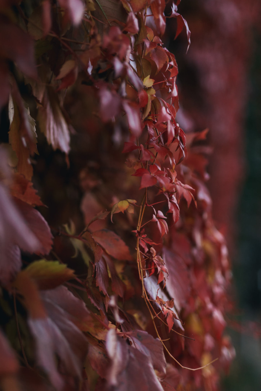wedding photographer stockholm-stockholm stadhuset-sweden elopement