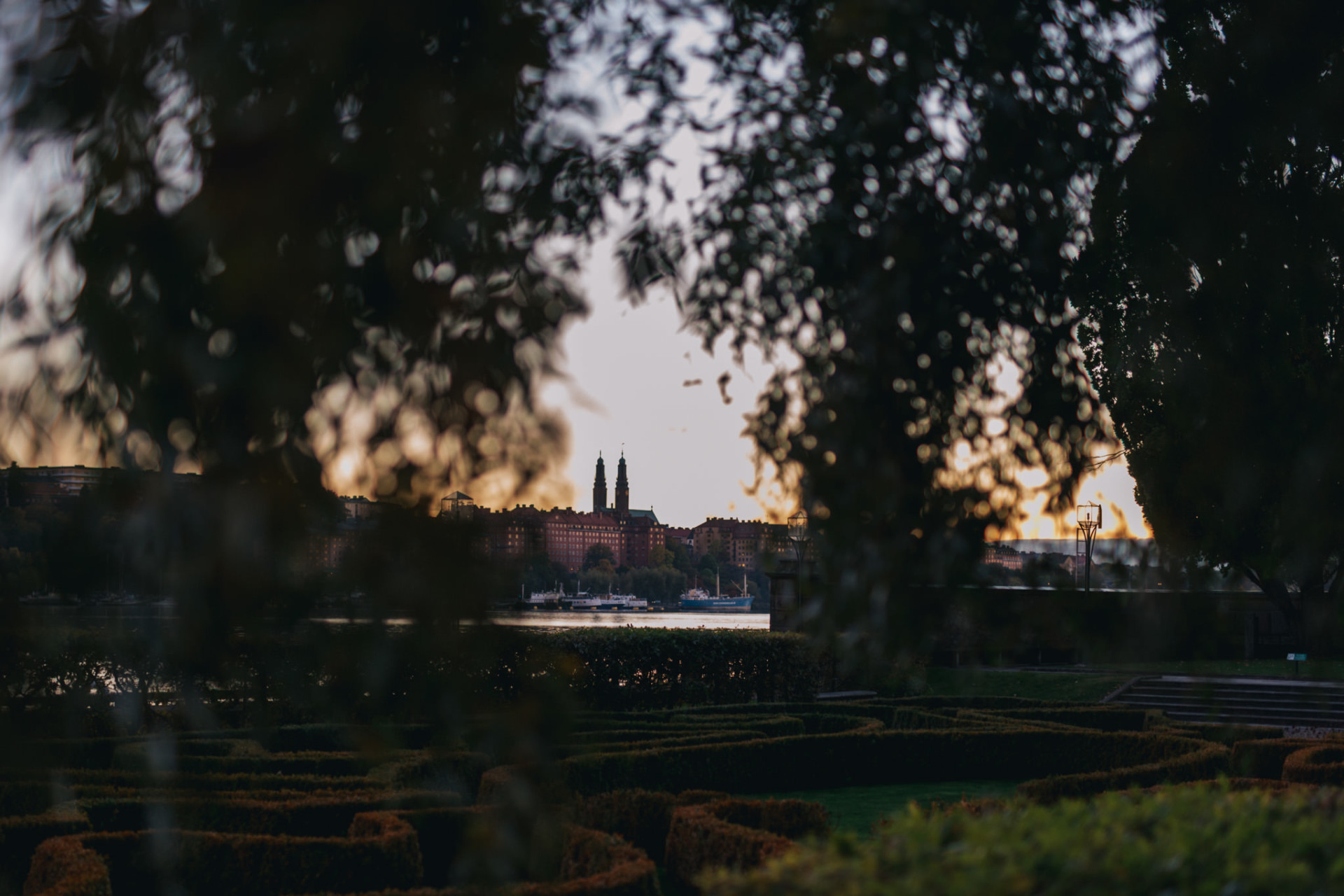 wedding photographer stockholm-engagement photos with dog-sweden elopement