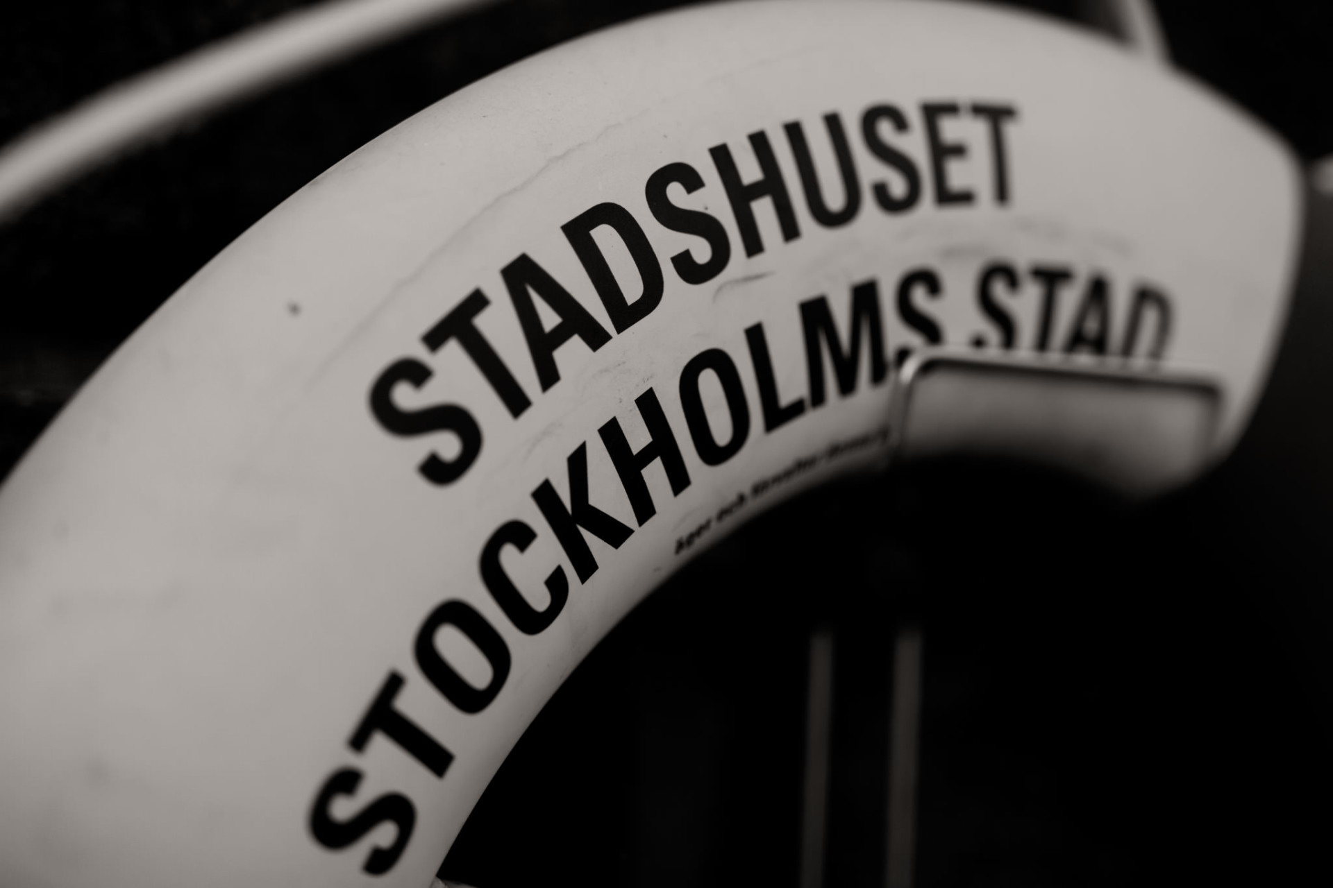 wedding photographer stockholm-engagement photos with dog-sweden elopement