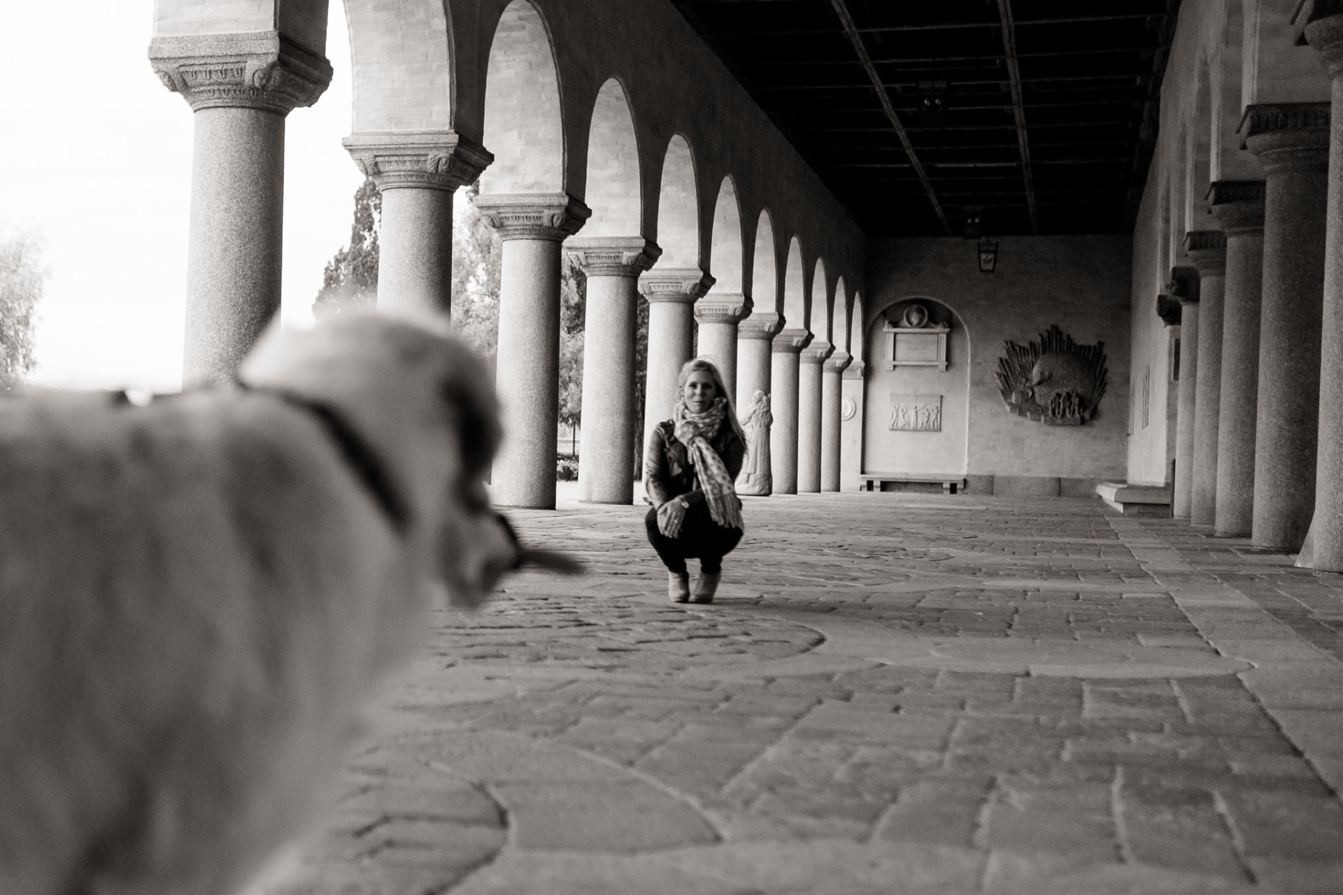 wedding photographer stockholm-engagement photos with dog-sweden elopement
