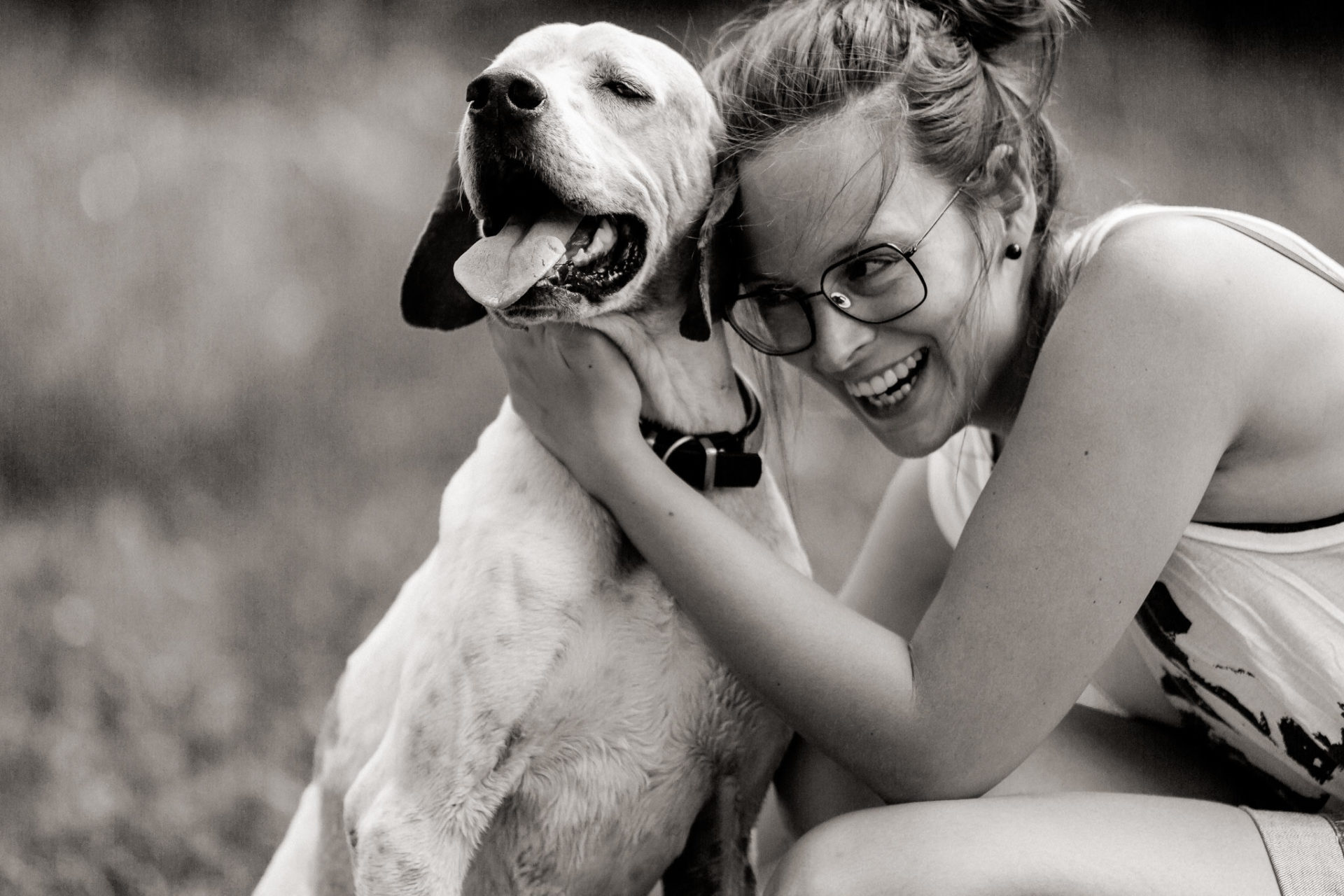 Dog Photographer-American Bulldog puppy-18 dog photographer germany-dog portrait natural-stuttgart pet photos-doglover-english pointer