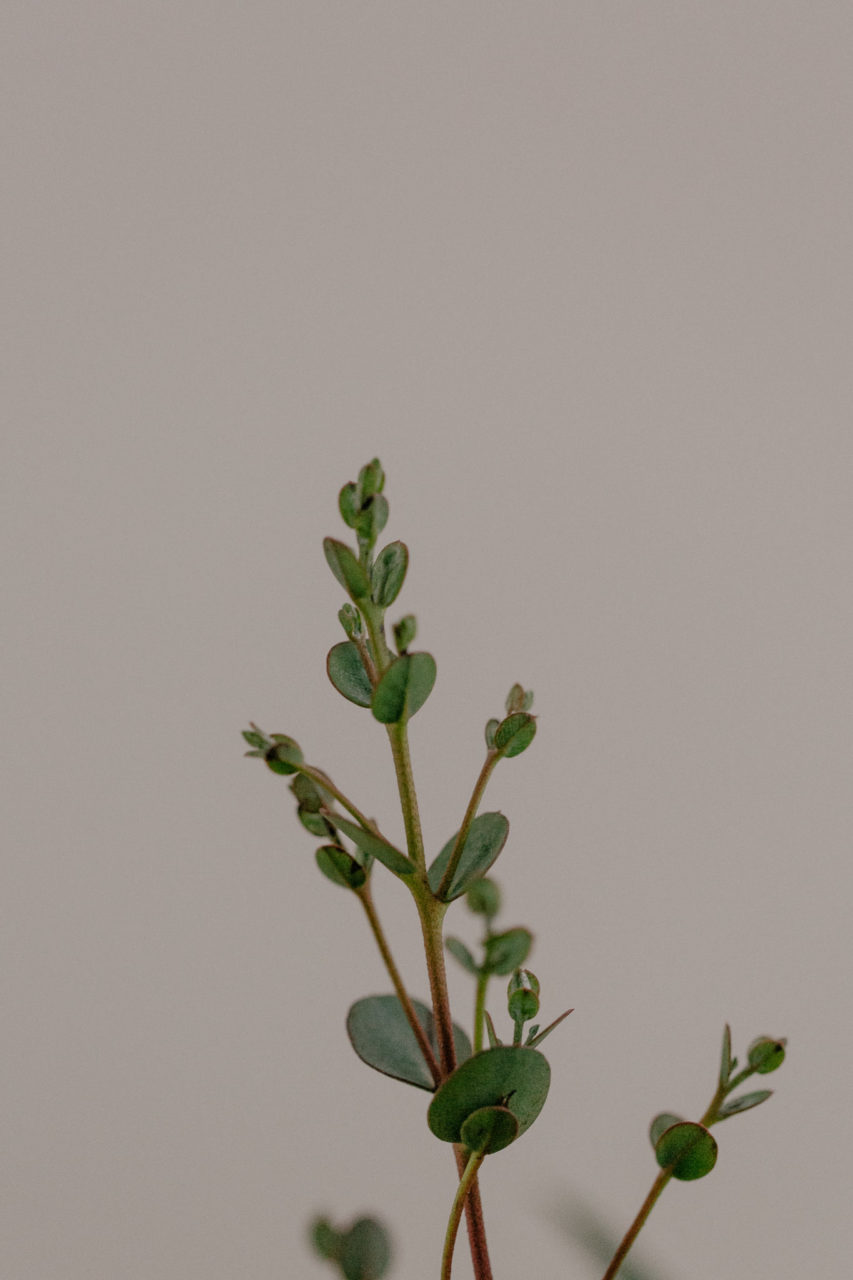 wedding photographer berlin-airport wedding-non traditional-rich details-mobile bar-silk gown-eucalypt bouquet