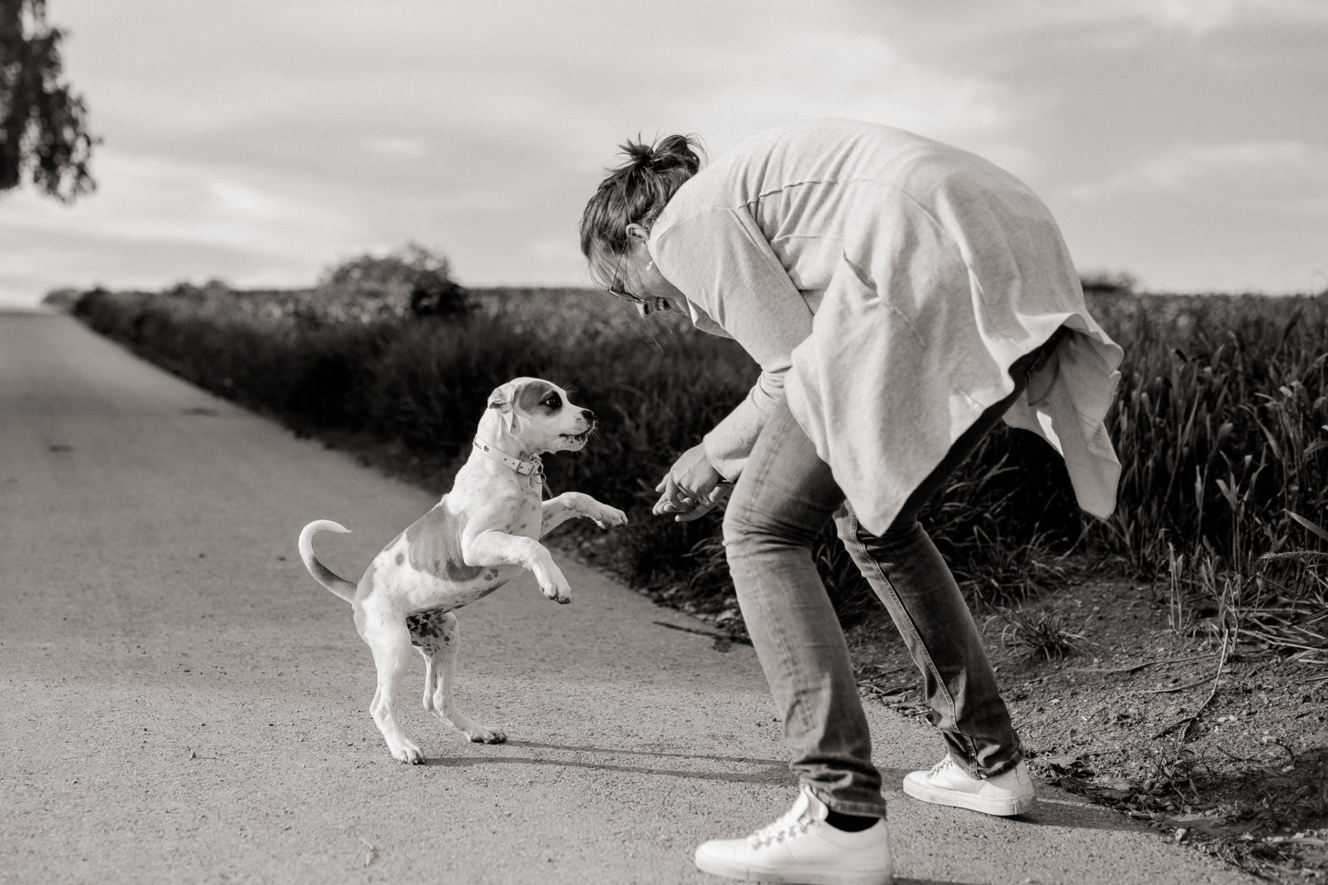 dog photographer stuttgart berlin-Home stories with pets-american bulldog puppy-pet photographer-natural dog portrait-animal photos-proud heroes ab-puppy training