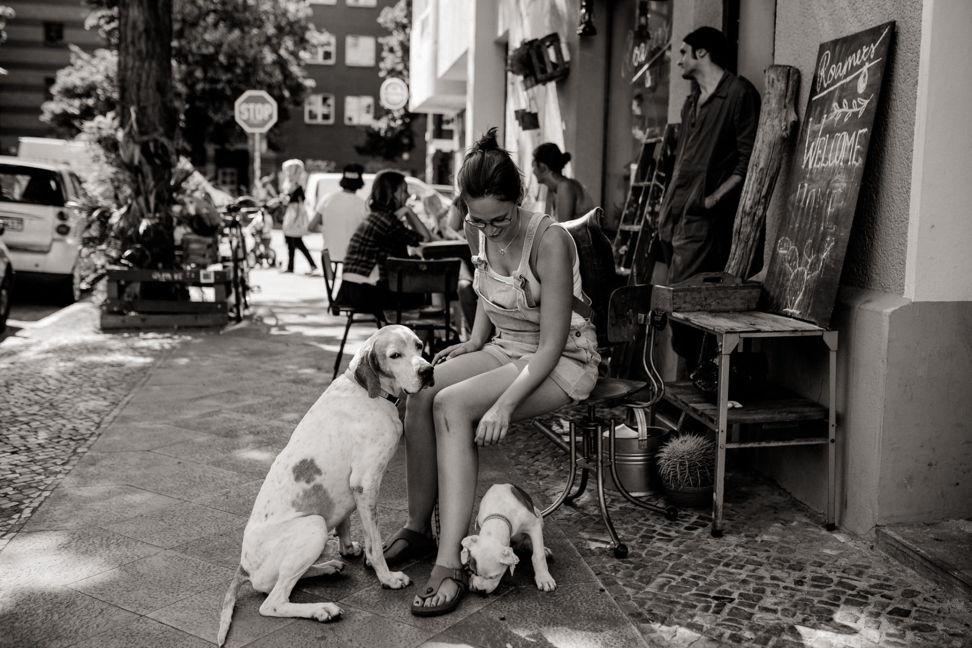hundefotograf berlin-umgestellte tierfotos-großstadt mit Welpe-Welpenschule-American Bulldog Proud Heroes Zwinger-Familienhund-roamers berlin