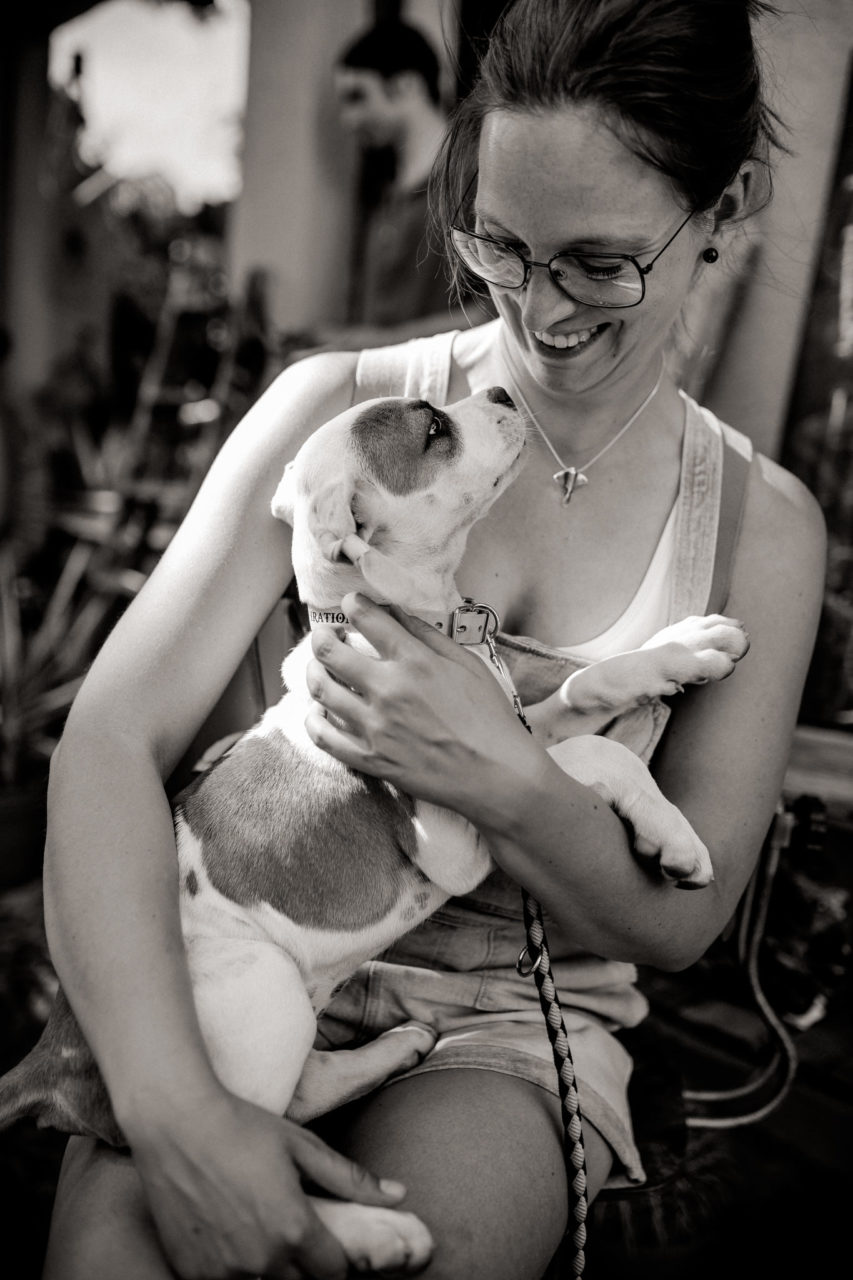 hundefotograf berlin-umgestellte tierfotos-großstadt mit Welpe-Welpenschule-American Bulldog Proud Heroes Zwinger-Familienhund-roamers berlin