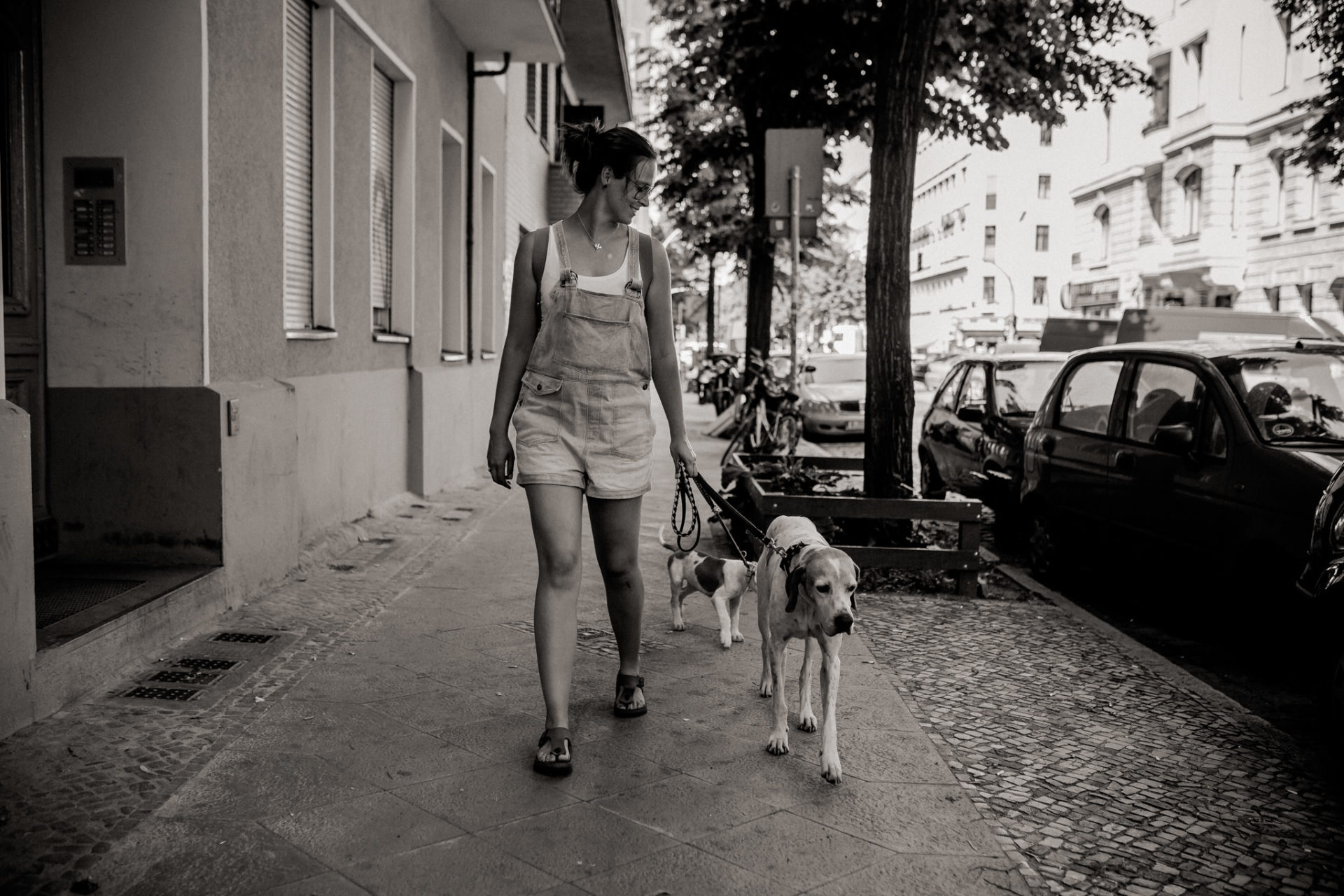 hundefotograf berlin-umgestellte tierfotos-großstadt mit Welpe-Welpenschule-American Bulldog Proud Heroes Zwinger-Familienhund-roamers berlin