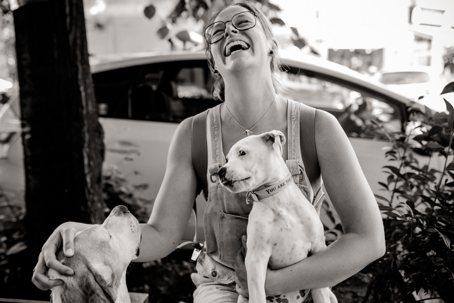 hundefotograf berlin-umgestellte tierfotos-großstadt mit Welpe-Welpenschule-American Bulldog Proud Heroes Zwinger-Familienhund-roamers berlin