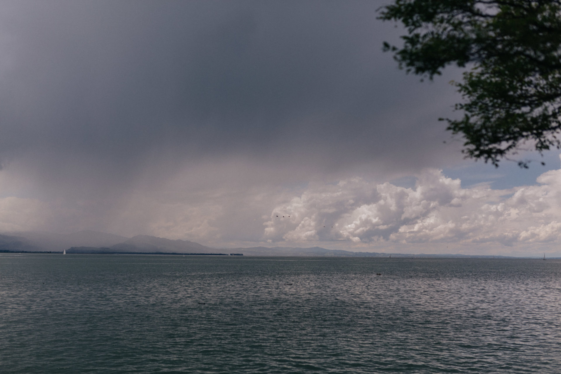wedding photographer austria-engagement photos lake constance-individual couple portraits-mountain elopement-lindau session couple shoot