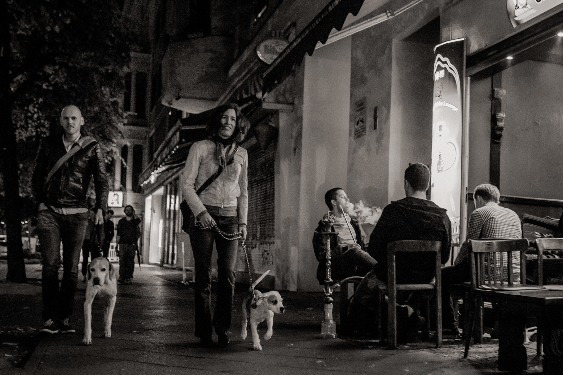 dog photographer berlin-american bulldog puppy-pet photographer-natural dog portrait-berlin with dogs-underground tram dogs berlin