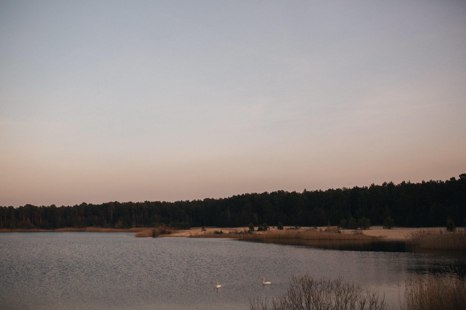 engagement session Berlin-hipster couple shoot-piercing-style expert-wedding photographer germany