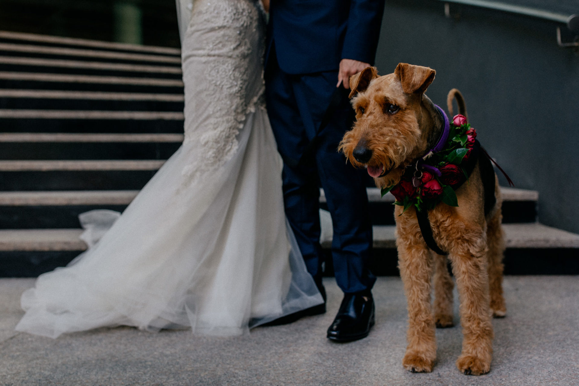 Perth Wedding Photographer-64 Wedding photographer Perth-solo merav gown-elegant city wedding-signature floral design perth-wedding with dog