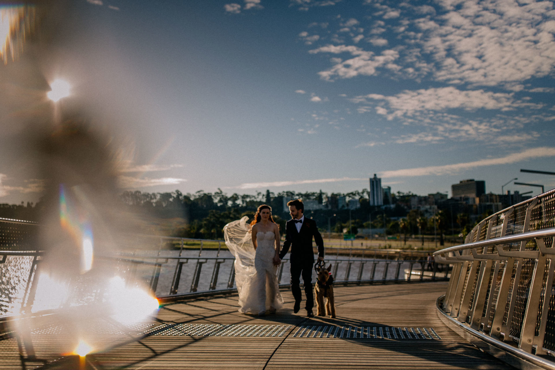 Perth Wedding Photographer-68 Wedding photographer Perth-solo merav gown-elegant city wedding with dog