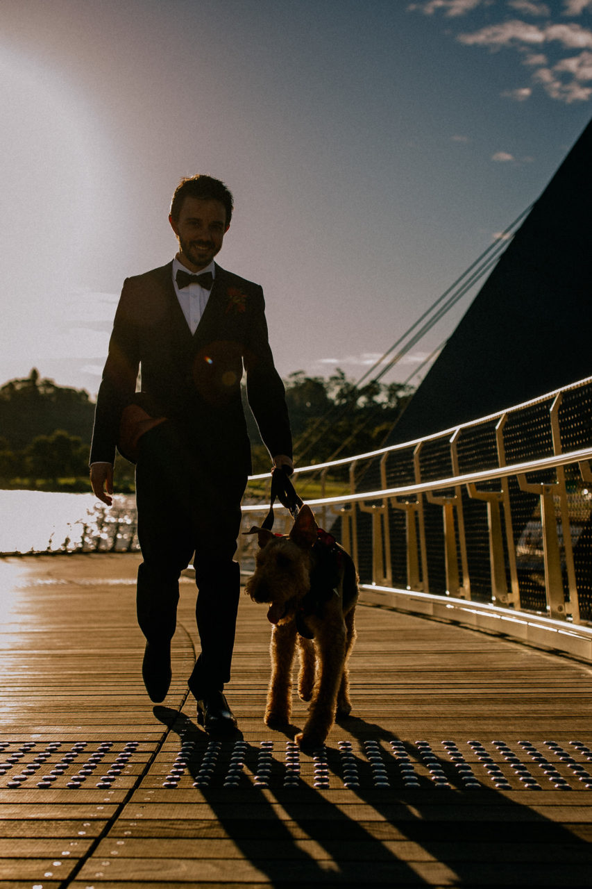 Perth Wedding Photographer-69 Wedding photographer Perth-solo merav gown-elegant city wedding with dog