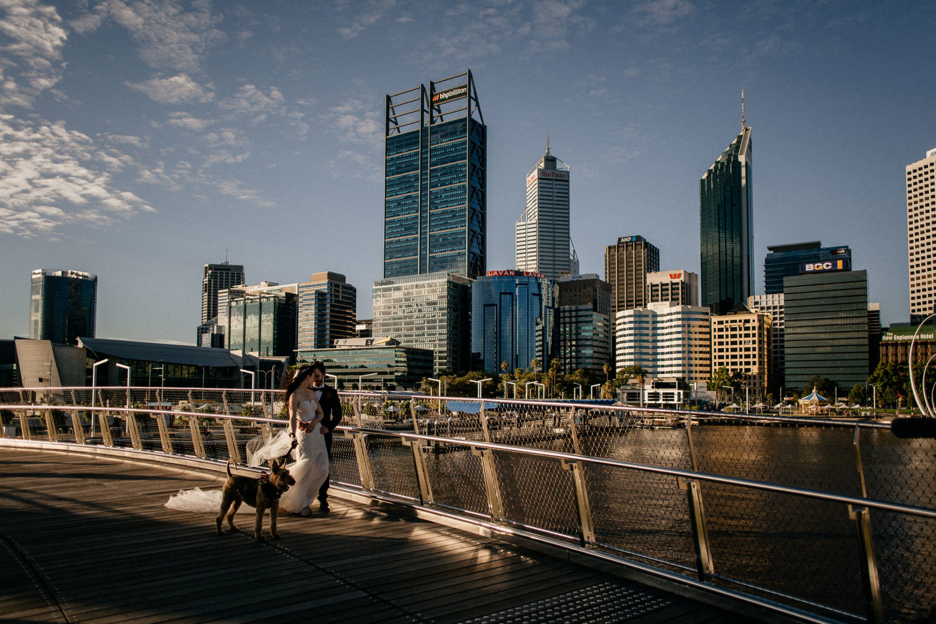 Perth Wedding Photographer-70 Wedding photographer Perth-solo merav gown-elegant city wedding with dog