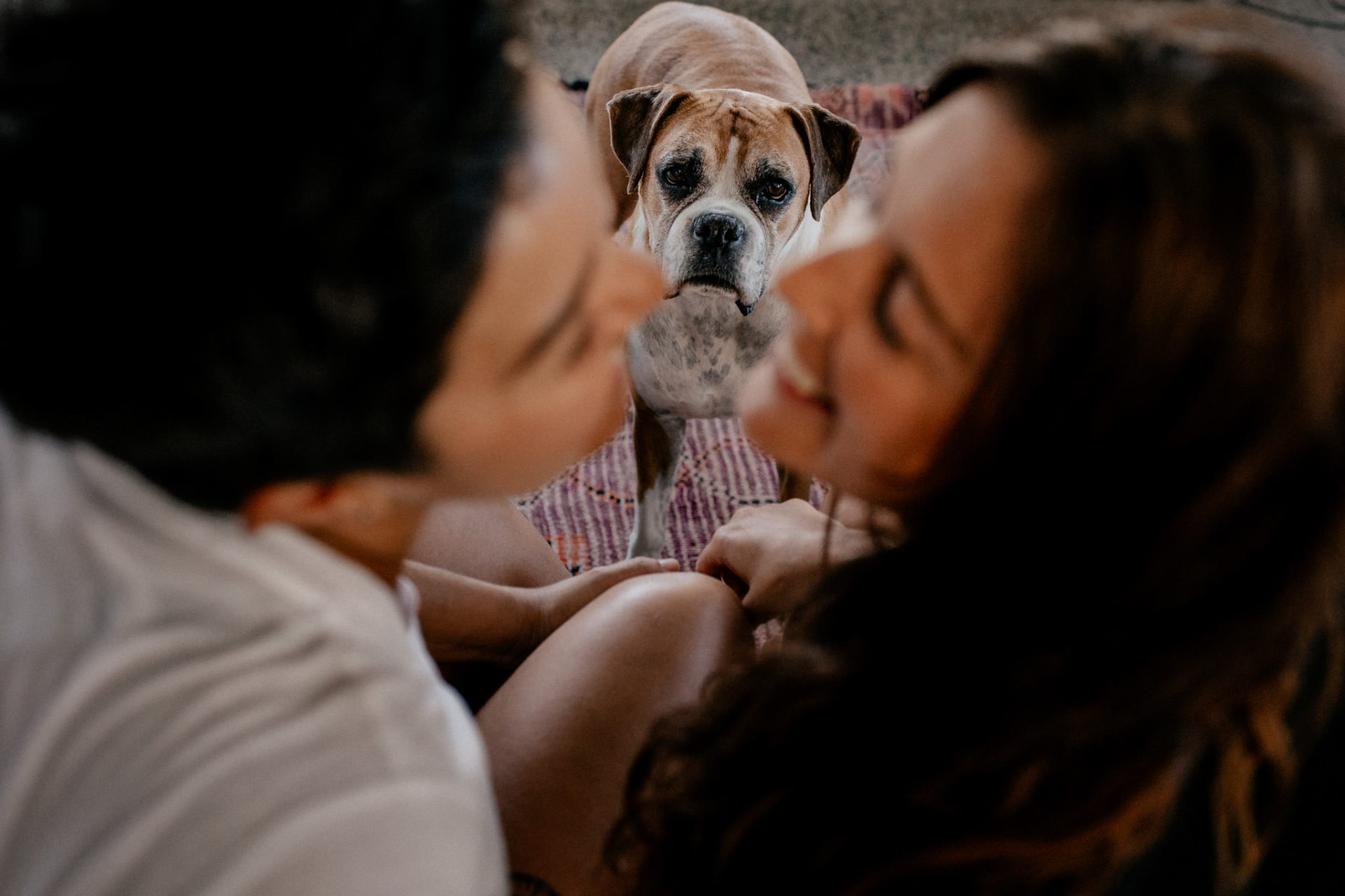 In Love Session Thornbury-engagement photos-home-story-couple shoot-lesbian couple with dog-lgbtq-friendly-wedding-photographer-melbourne